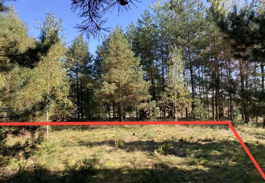 Działka mieszkaniowa Gmina Olpuch