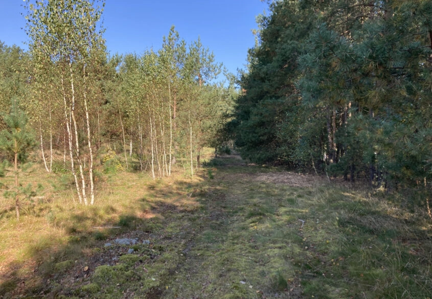 Działka mieszkaniowa 1201m2 z MPZP