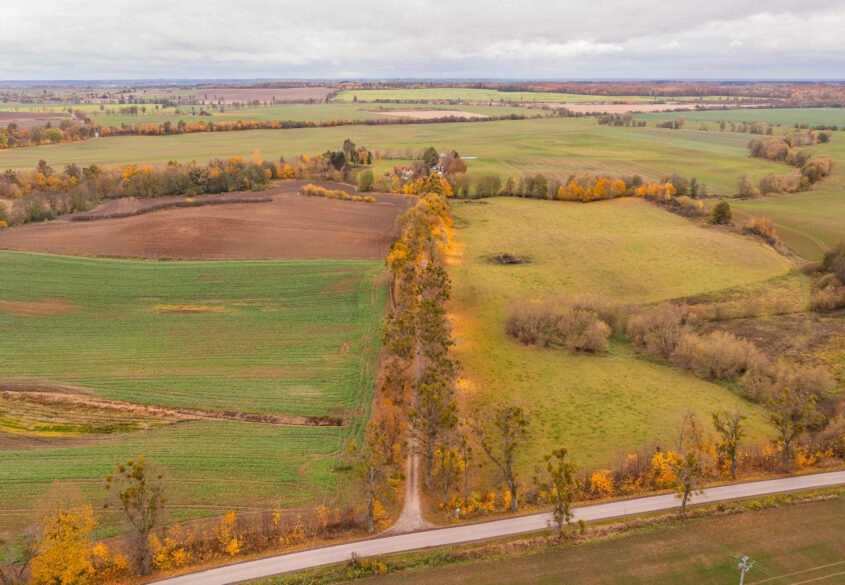 Agroturystyka- Działalność Rolnicza- Stadnina Koni
