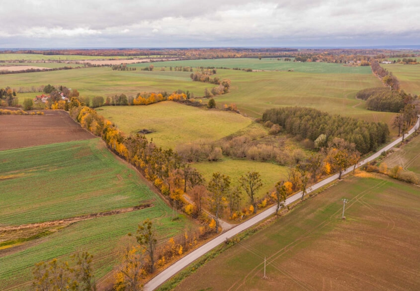 Agroturystyka- Działalność Rolnicza- Stadnina Koni