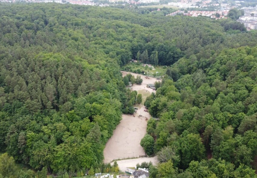 Wyjątkowy teren otoczony lasem Polana Bernadowo