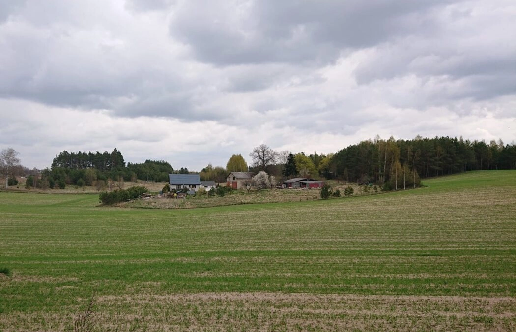 Działka rolna przy trasie  214, Kościerzyna 7km