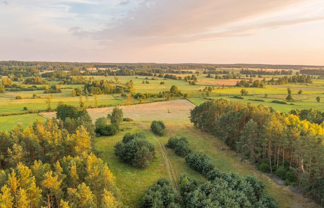 Działka na Kaszubach