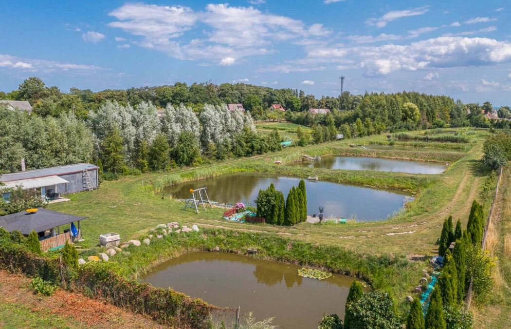 12 stawów z narybkiem-piękne miejsce-gotowy biznes
