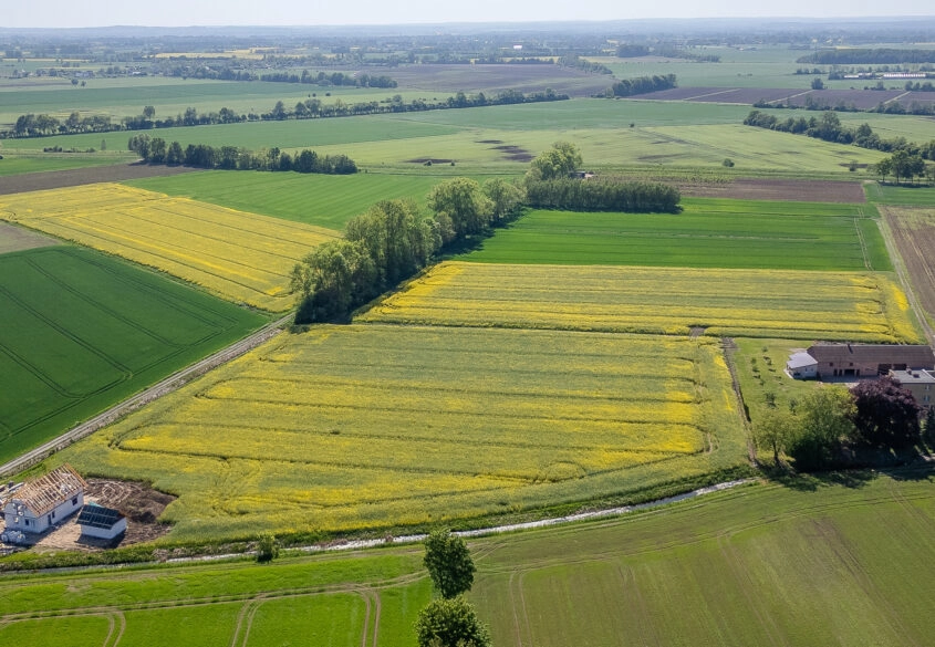 Działka ok. 4 ha Cedry Małe z możliwością podziału