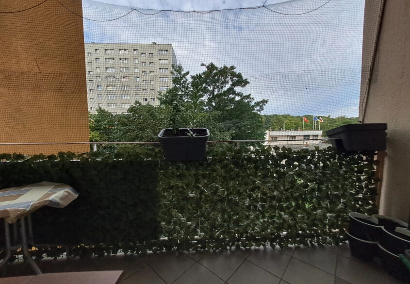 Okazja, 3 oddzielne pokoje, świetna lokalizacja