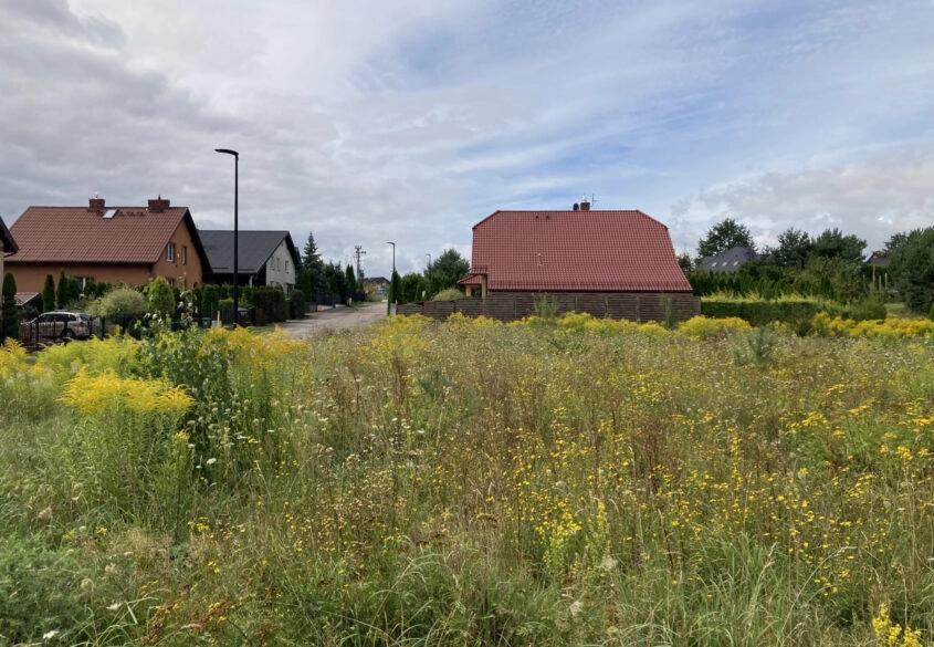 DZIAŁKA IDEALNA DLA RODZINY – BANINOty