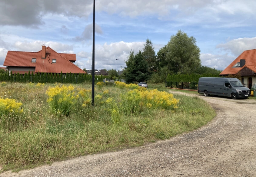 DZIAŁKA IDEALNA DLA RODZINY – BANINOty