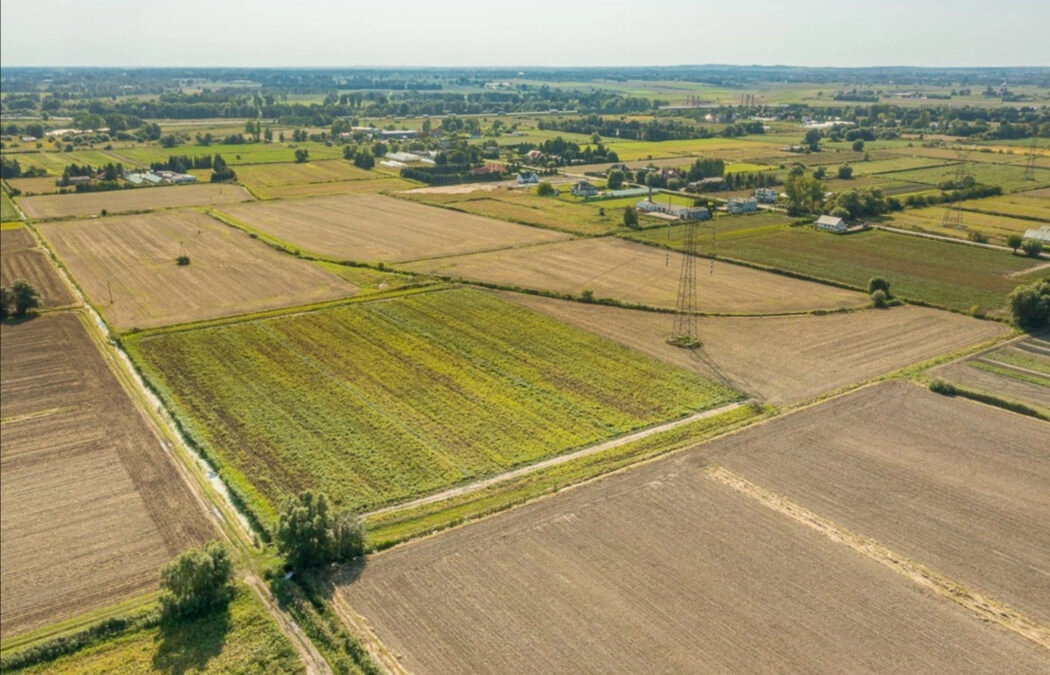 działka z potencjałem Olszynka
