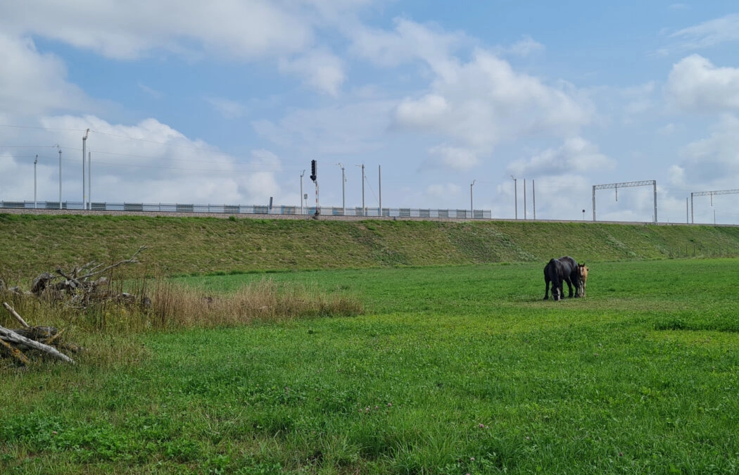 Działka usługowa, inwestycyjna - magazyny