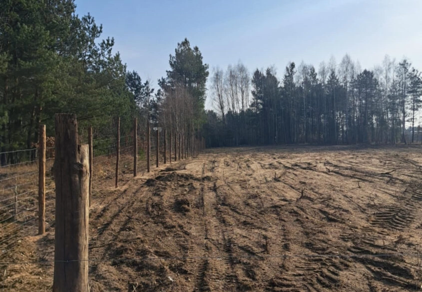 Bliźniak 30 min od Gdańska