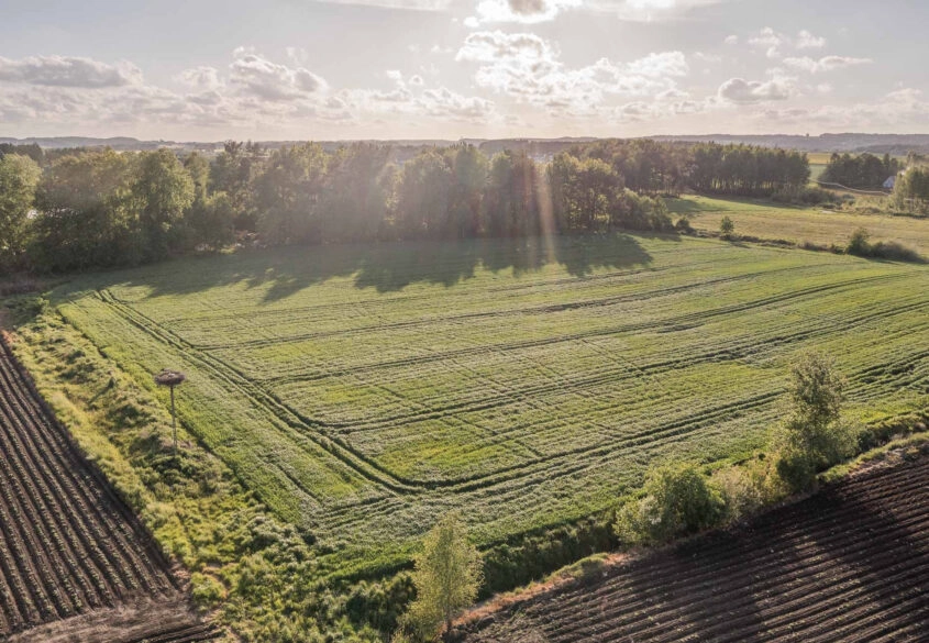 Budowlana | 1264M2 | Cisza | Spokój