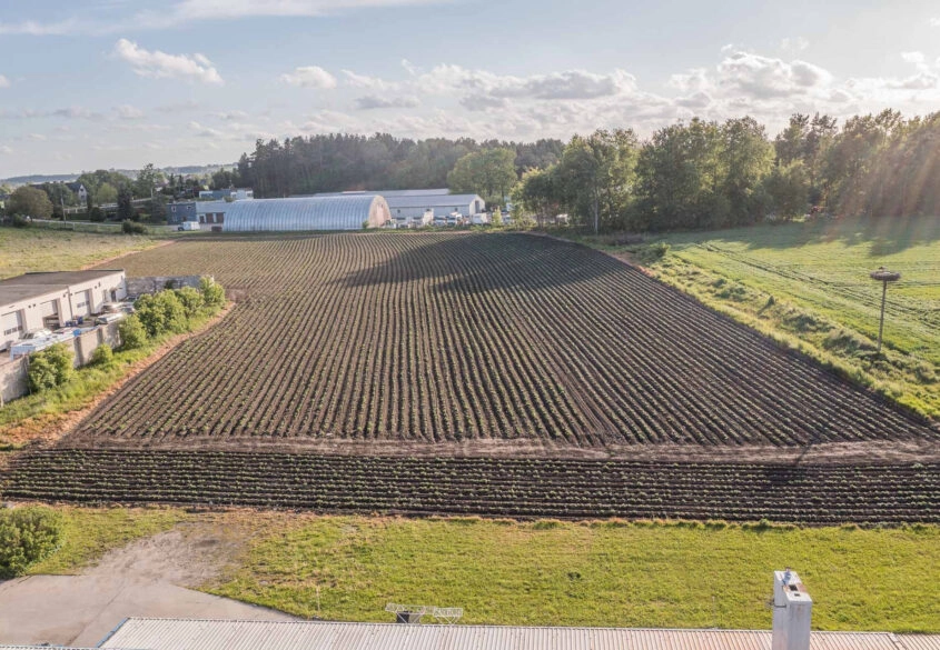 Dwie przemysłowe | Możliwość dokupienia 9500M2