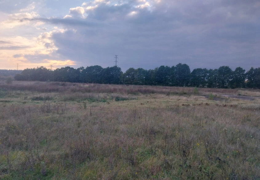 Na sprzedaż: działka budowlana 1133 m² w miejscowo