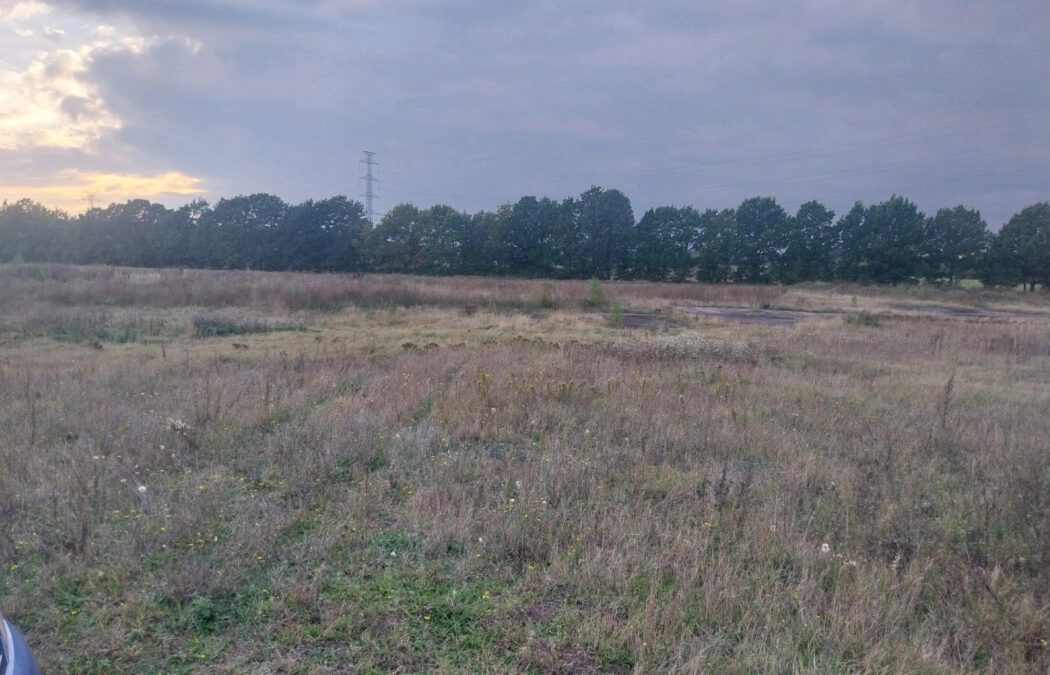 Na sprzedaż: działka budowlana 1133 m² w miejscowo