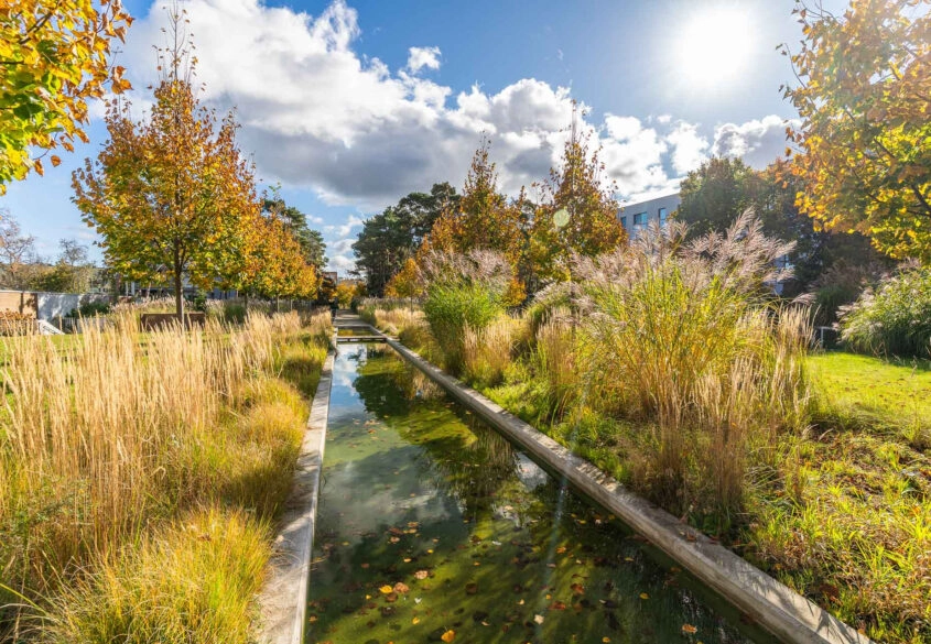 2 pak inwestycyjny (gotowiec) - Nadmorski Dwór