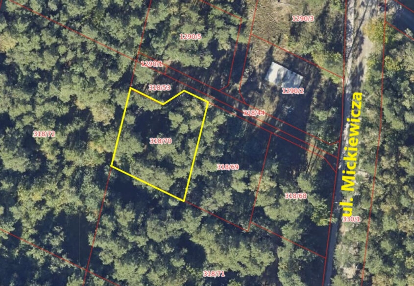 Działka pod dom lub usługi w leśnym otoczeniu