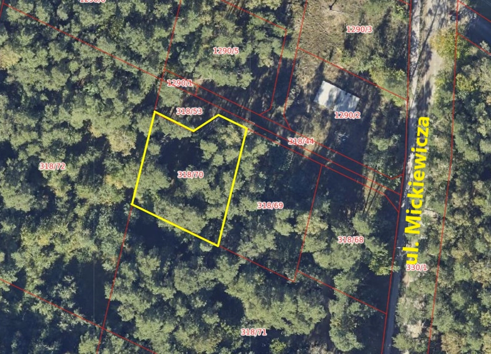 Działka pod dom lub usługi w leśnym otoczeniu