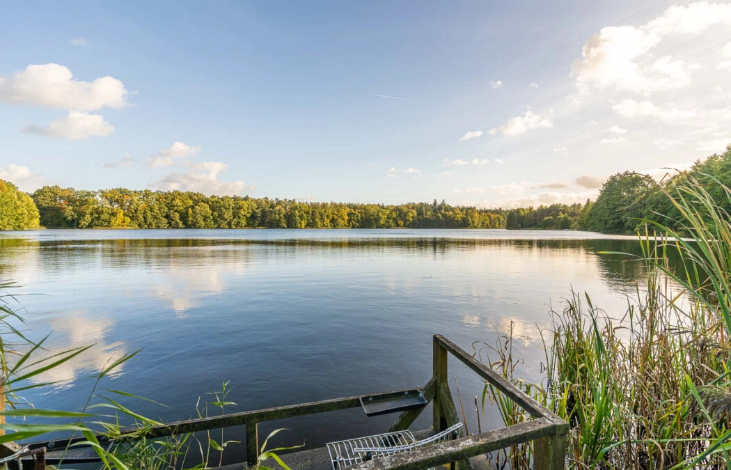 Działka w pierwszej linii od jeziora.Piękny widok.