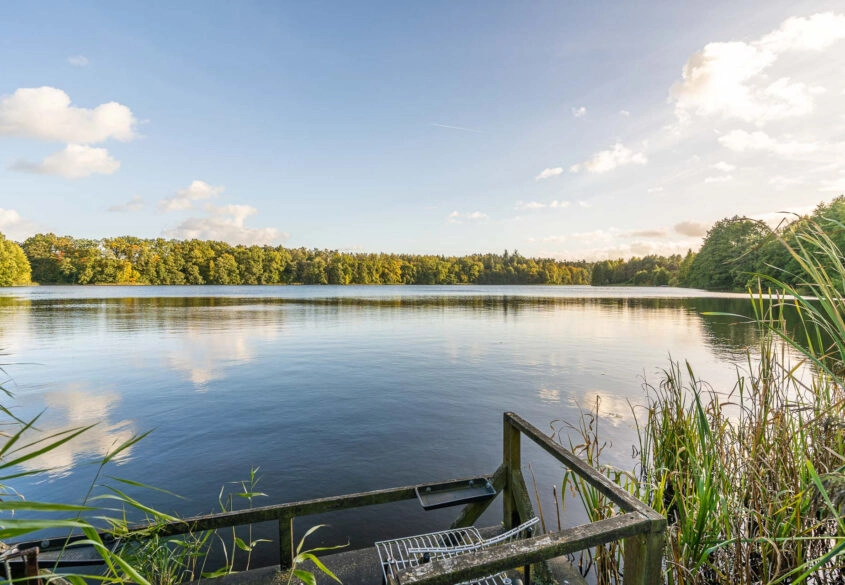 Działka w pierwszej linii od jeziora.Piękny widok.