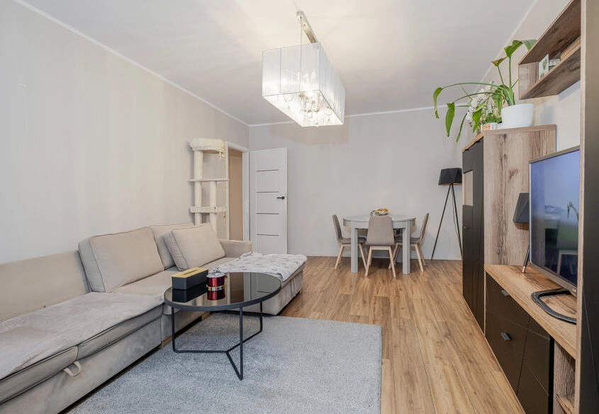 # pokoje z loggią i piwnicą w świetnej lokalizacji