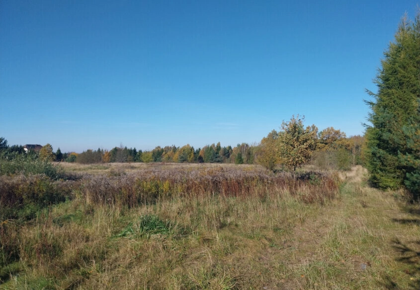 Działka 1,5ha pod zabudowę jednorodzinną - Pomlewo