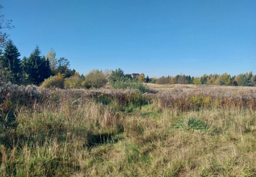 Działka 1,5ha pod zabudowę jednorodzinną - Pomlewo