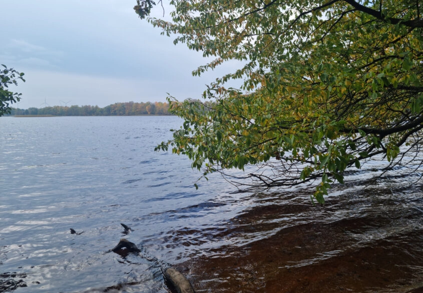 Działka nad jeziora Salinko z dostępem do jeziora