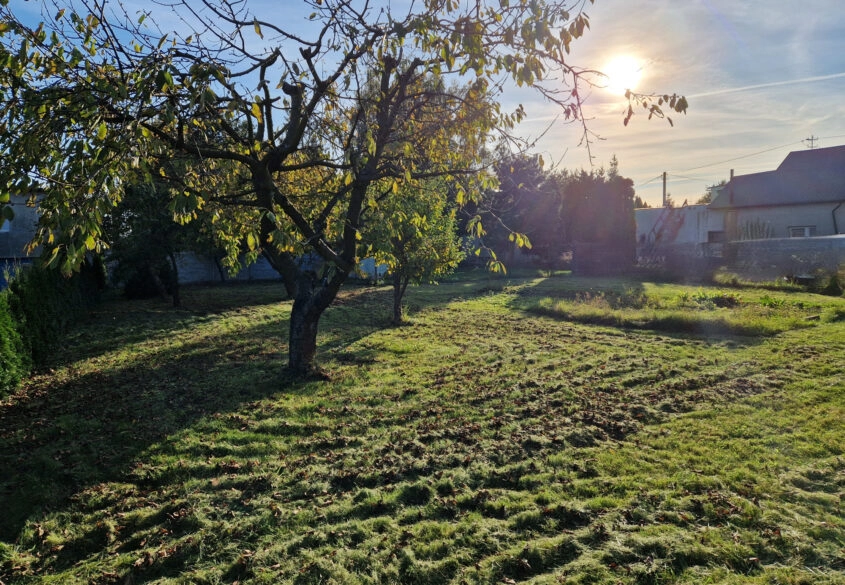 Atrakcyjna działka w okolicy Pruszcza Gd