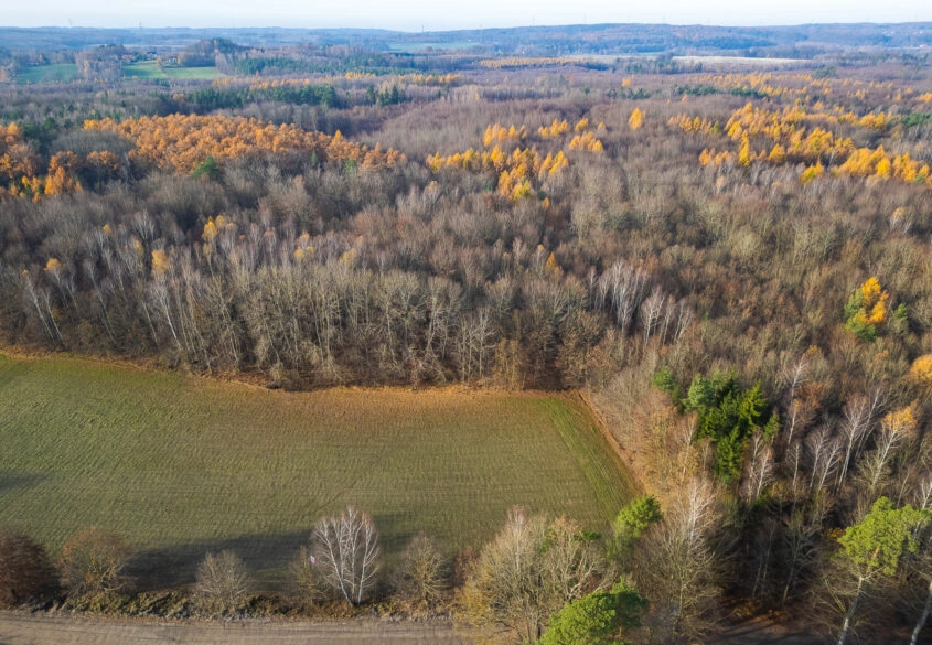 Działka Warcz, powiat gdański 11 070 m²