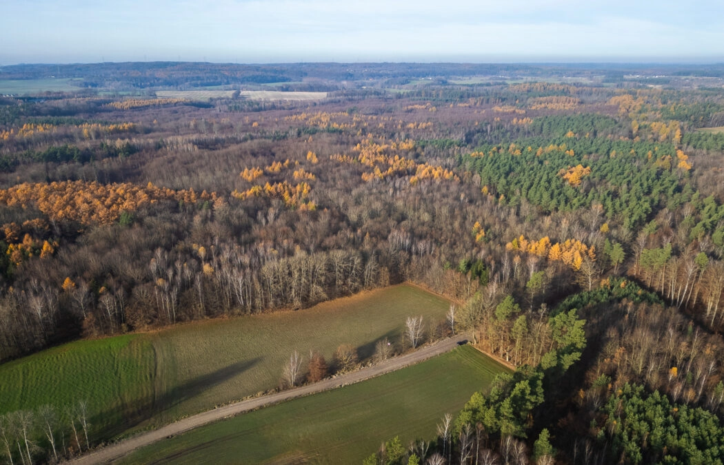Działka Warcz, powiat gdański 11 070 m²
