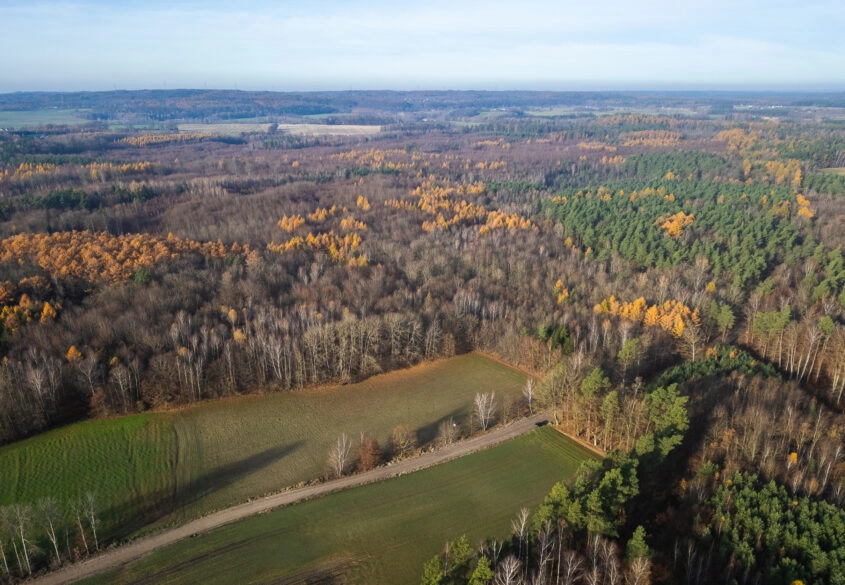 Działka Warcz, powiat gdański 11 070 m²