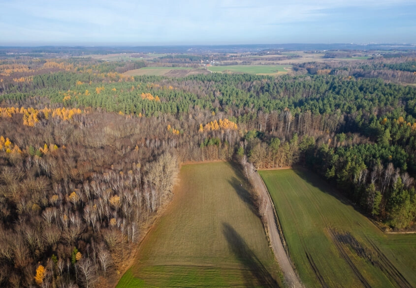 Działka Warcz, powiat gdański 11 070 m²