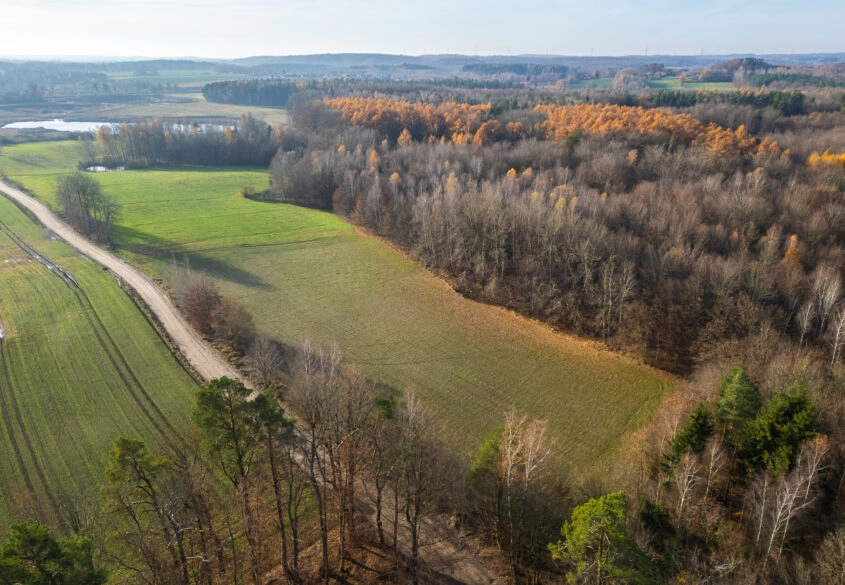 Działka Warcz, powiat gdański 11 070 m²