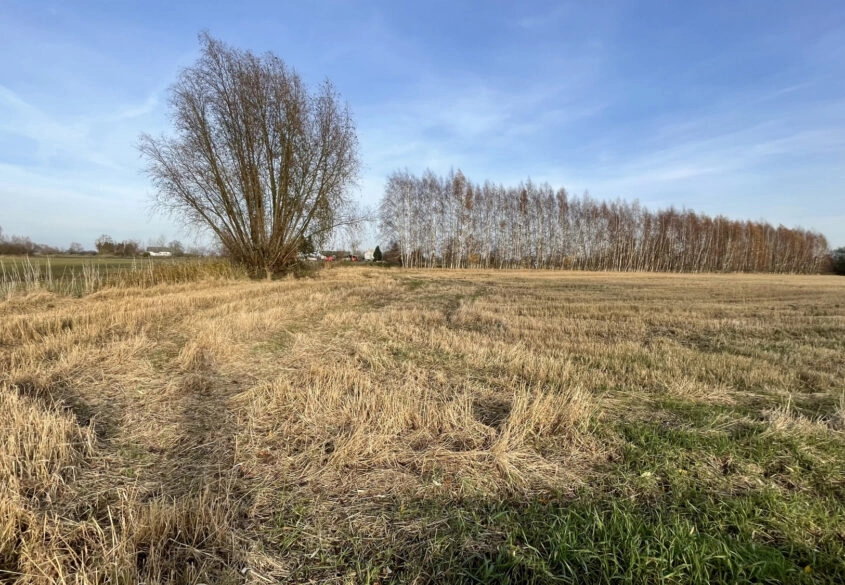 Działka pod twój wymarzony dom!