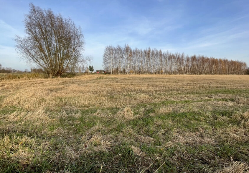 Działka pod twój wymarzony dom!