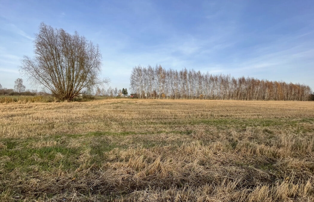 Działka pod twój wymarzony dom!