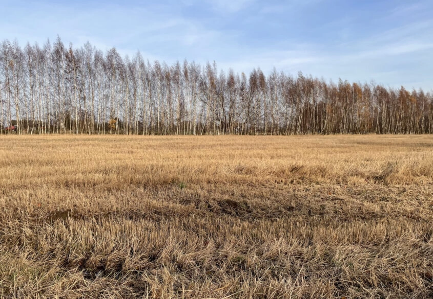 Działka pod twój wymarzony dom!