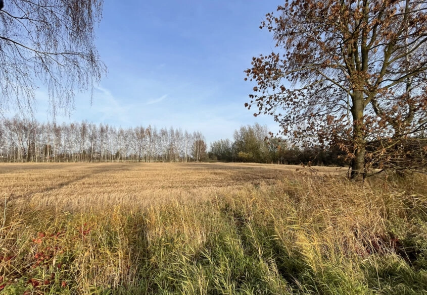 Działka pod twój wymarzony dom!