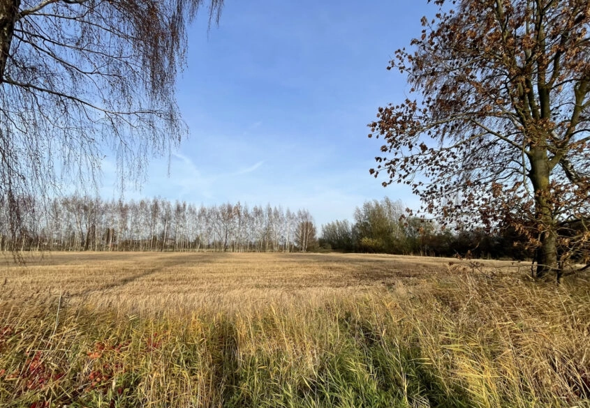 Działka pod twój wymarzony dom!