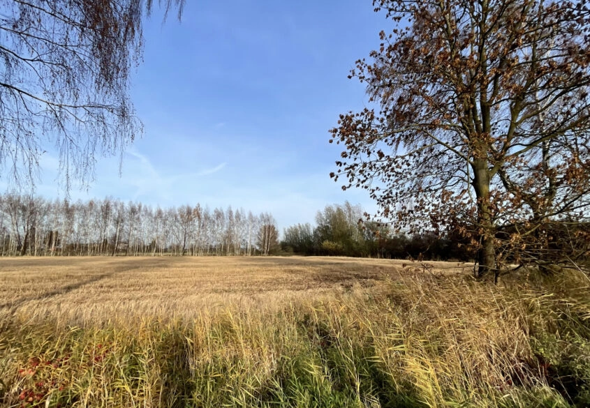 Działka pod twój wymarzony dom!