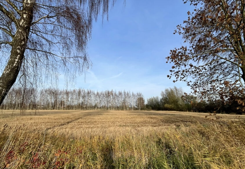 Działka pod twój wymarzony dom!