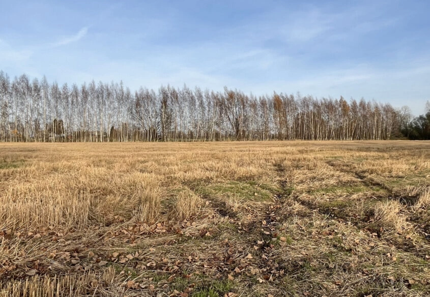 Działka pod twój wymarzony dom!