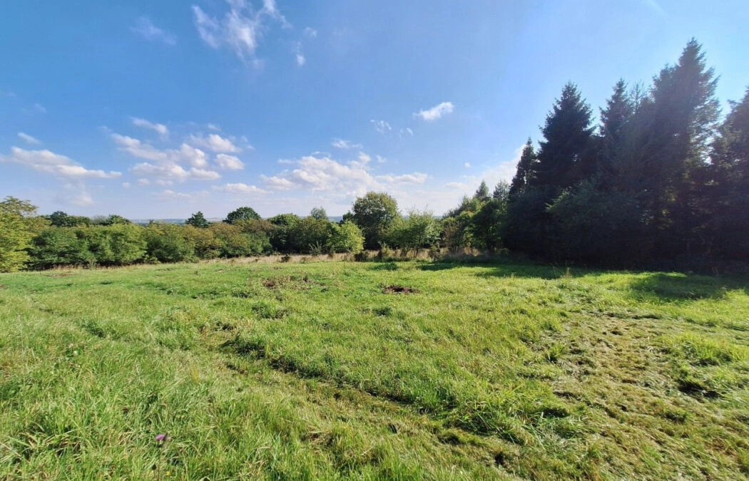 Atrakcyjna działka w Kolbudach