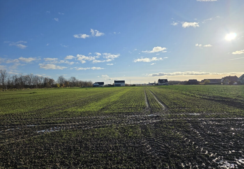 Ustawna działka 15 min. autem od centrum Gdańska!