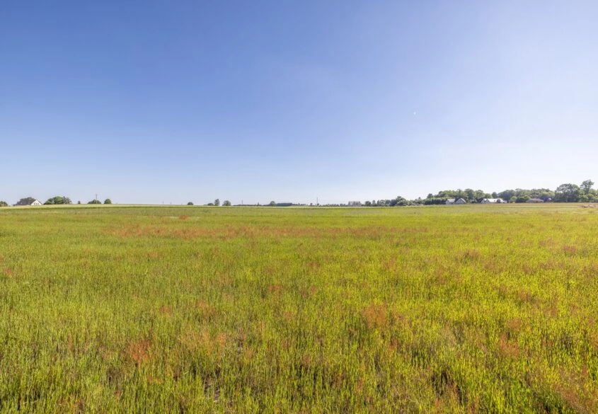 Budowlana | 1520m2 | Tanio | Woda