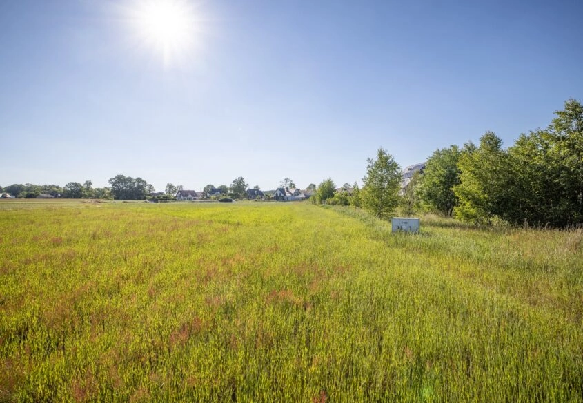 Budowlana | 1520m2 | Tanio | Woda