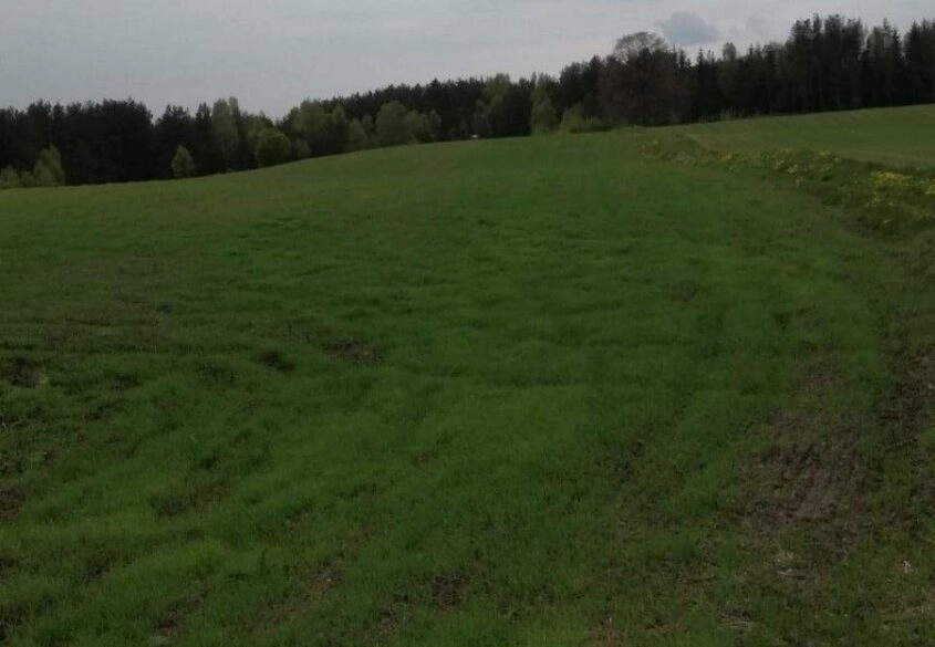 Działka pod dom, 80zł/m! w sercu Kaszub, pod lasem