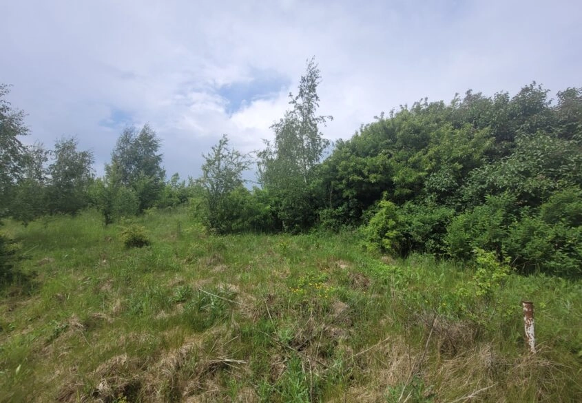 Działka na wzgórzu - Lublewo Gdańskie