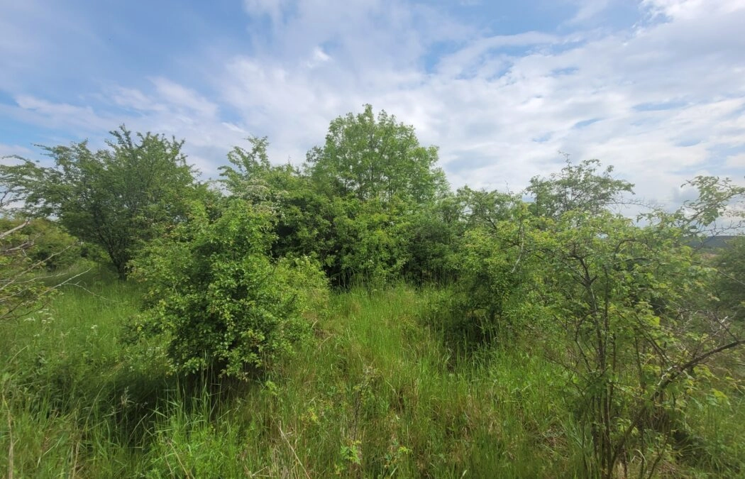 Działka na wzgórzu - Lublewo Gdańskie